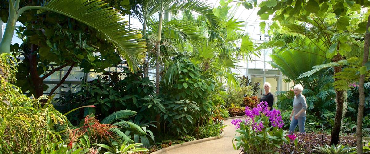 Daniel Stowe Botanical Garden og byder på vilde blomster, en park og interiør