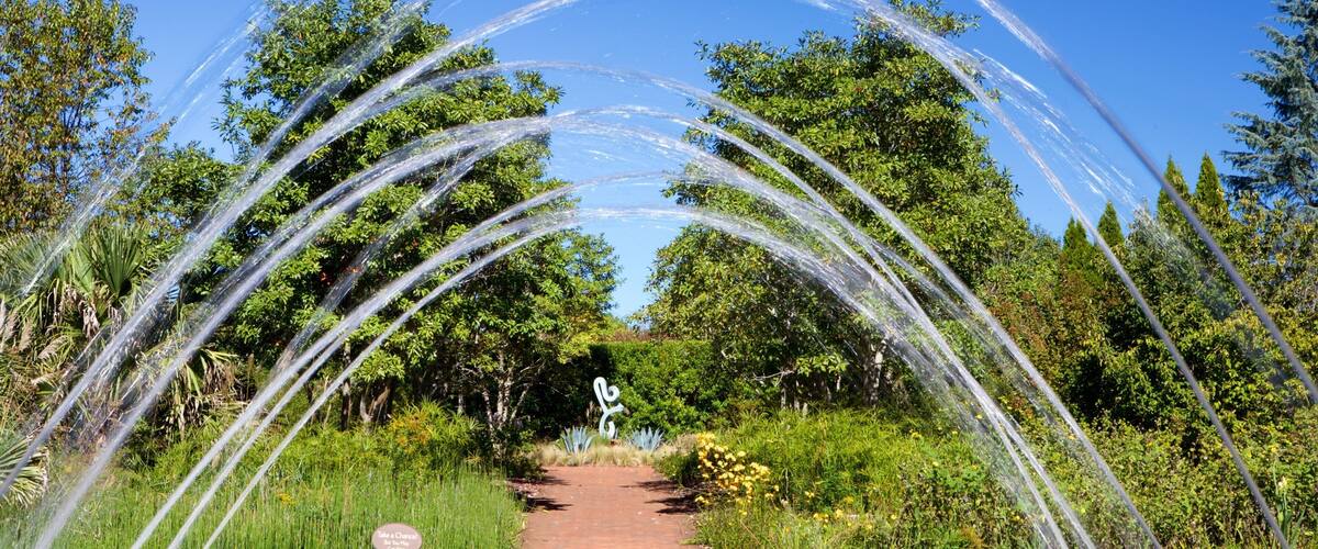 Daniel Stowe Botanical Garden showing a fountain and a park