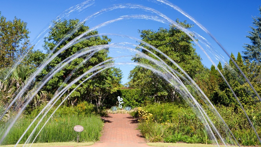 Daniel Stowe Botanical Garden showing a fountain and a park
