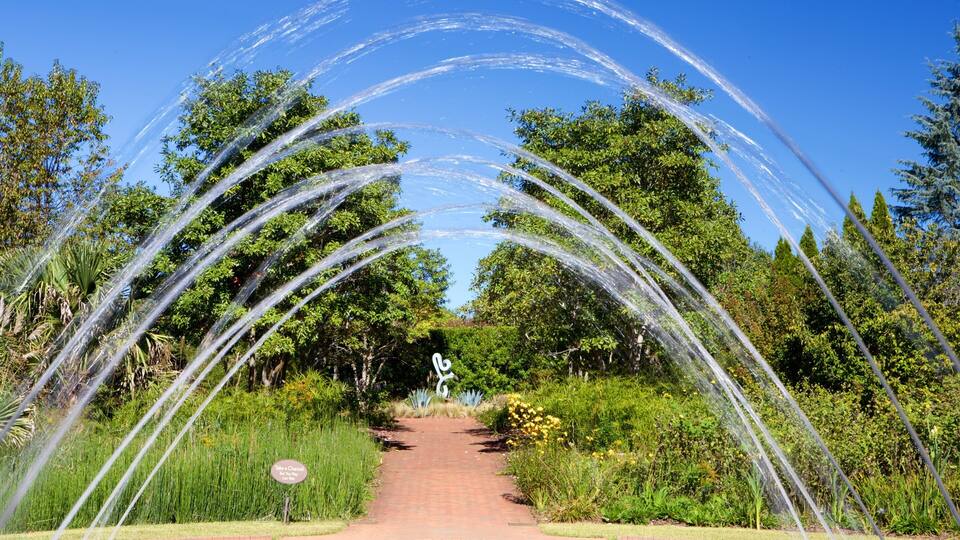A garden with a water feature creating arches over a pathway.