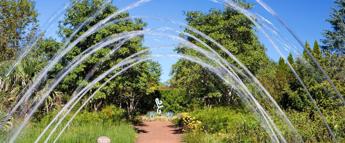 Daniel Stowe Botanical Garden