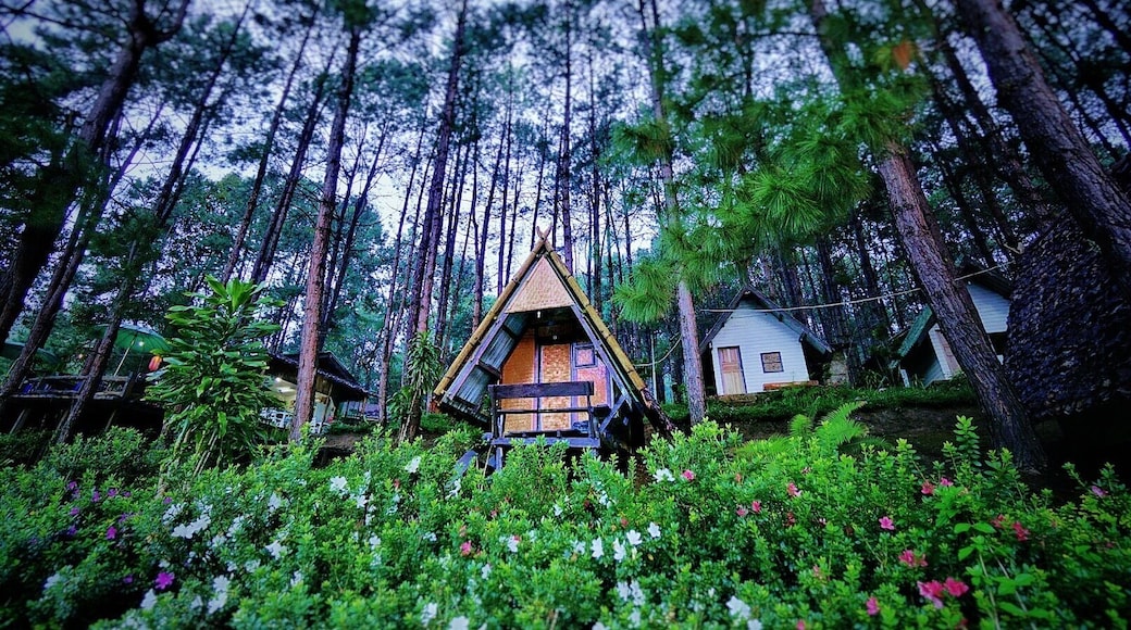 “Pang Ung”, Reservoir, Mae Hong Son, Thailand