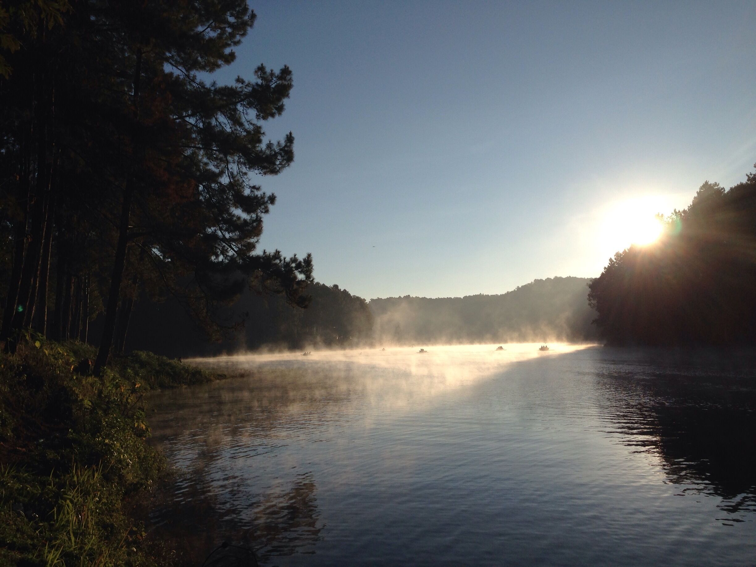 A calm river with mist rising from the water, surrounded by dense trees and a clear sky.