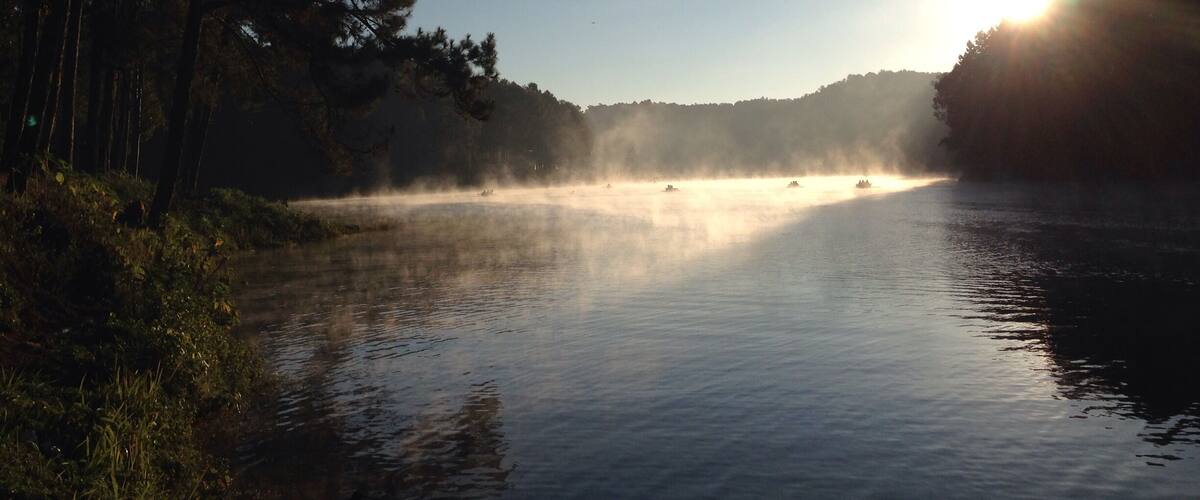 A calm river with mist rising from the water, surrounded by dense trees and a clear sky.