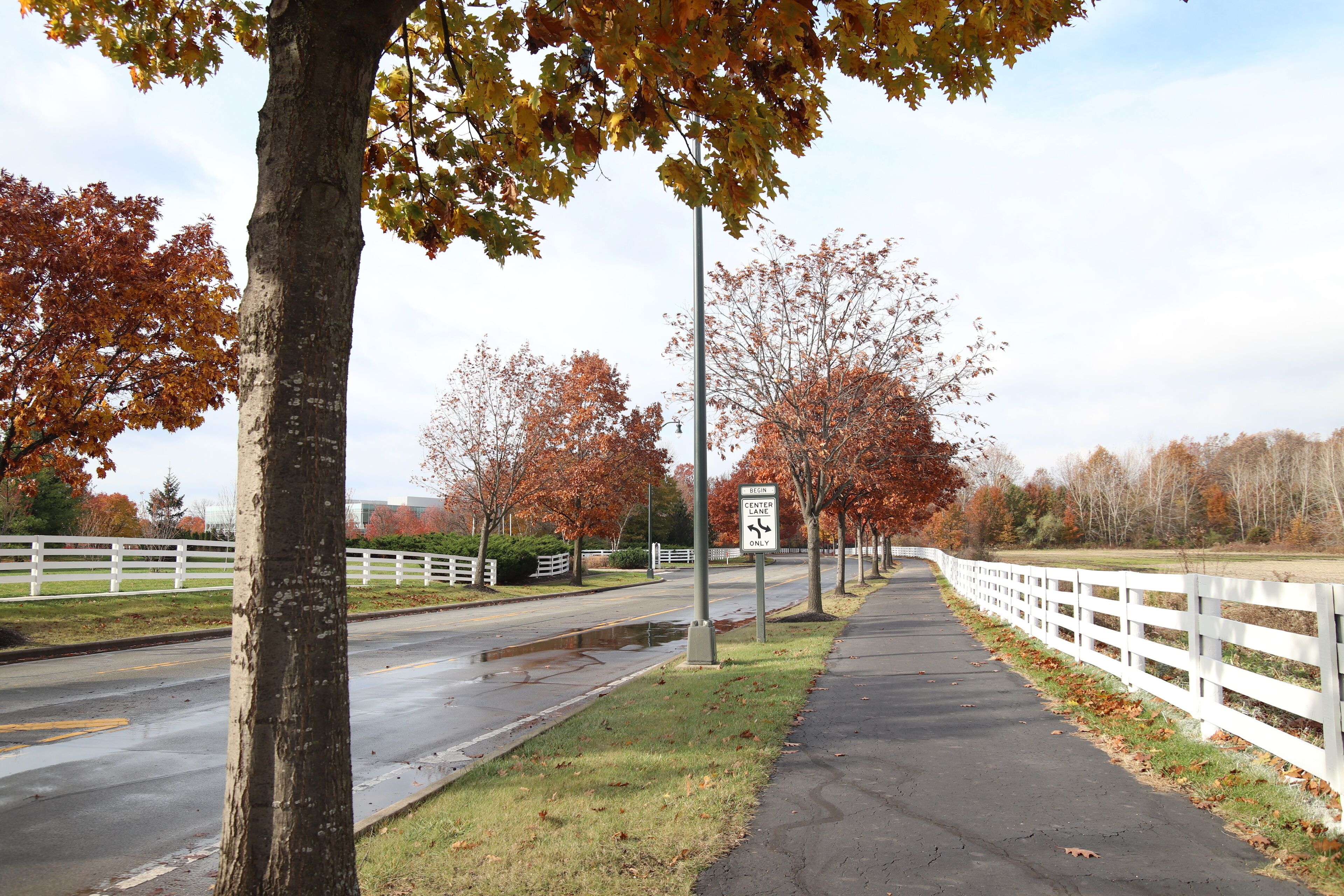 Fall in New Albany, Ohio 