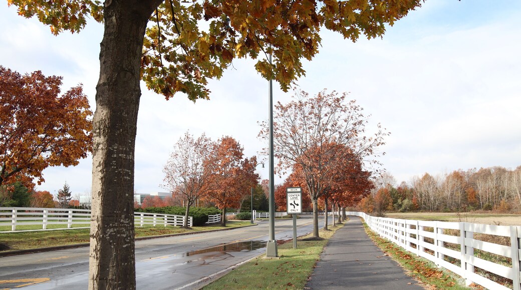 Fall in New Albany, Ohio