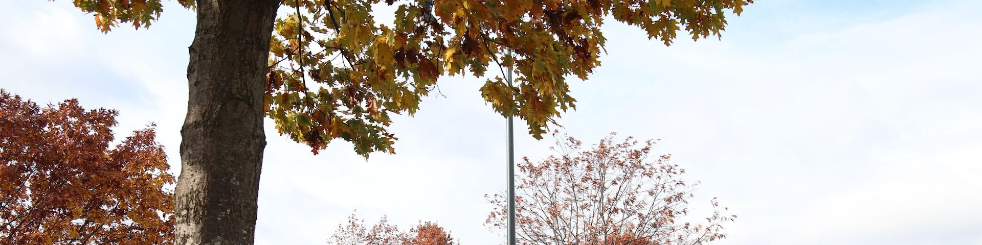 Fall in New Albany, Ohio