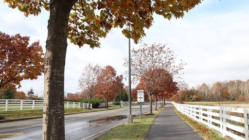 Fall in New Albany, Ohio