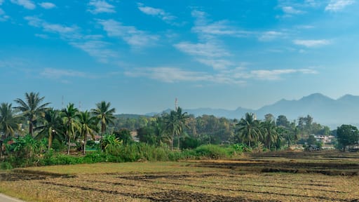 แม่ลาน้อย