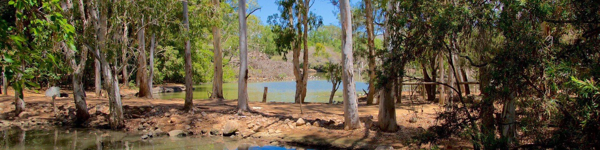 Nome mostrando um lago e cenas de floresta
