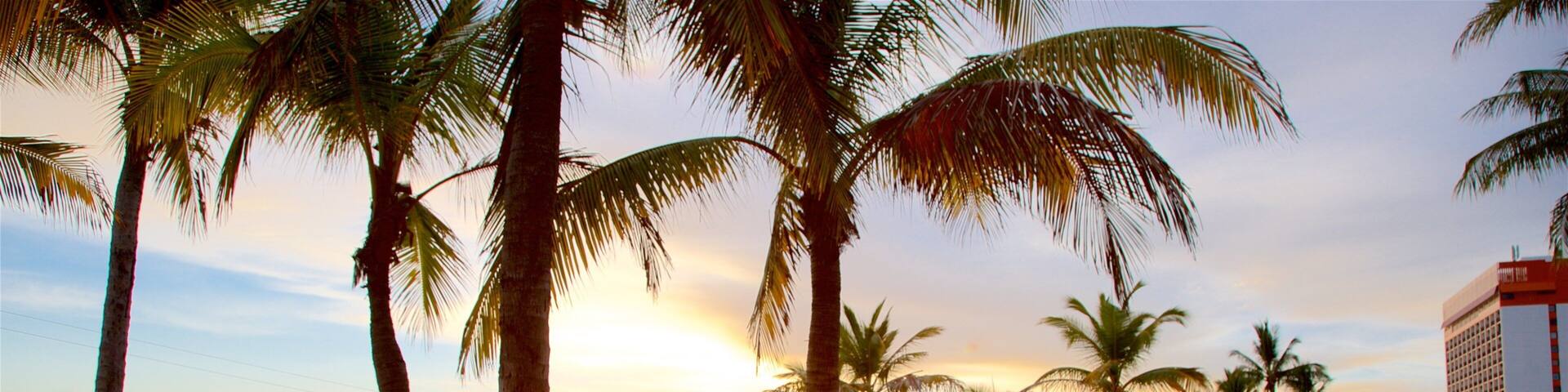 The Strand which includes general coastal views, a sunset and a sandy beach