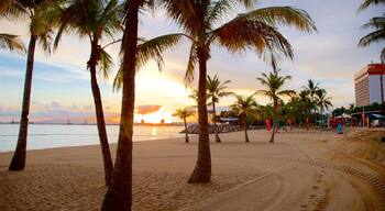 The Strand das einen allgemeine Küstenansicht, Sandstrand und tropische Szenerien