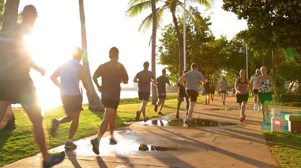 The Strand mostrando vistas de una costa, senderismo o caminatas y un parque
