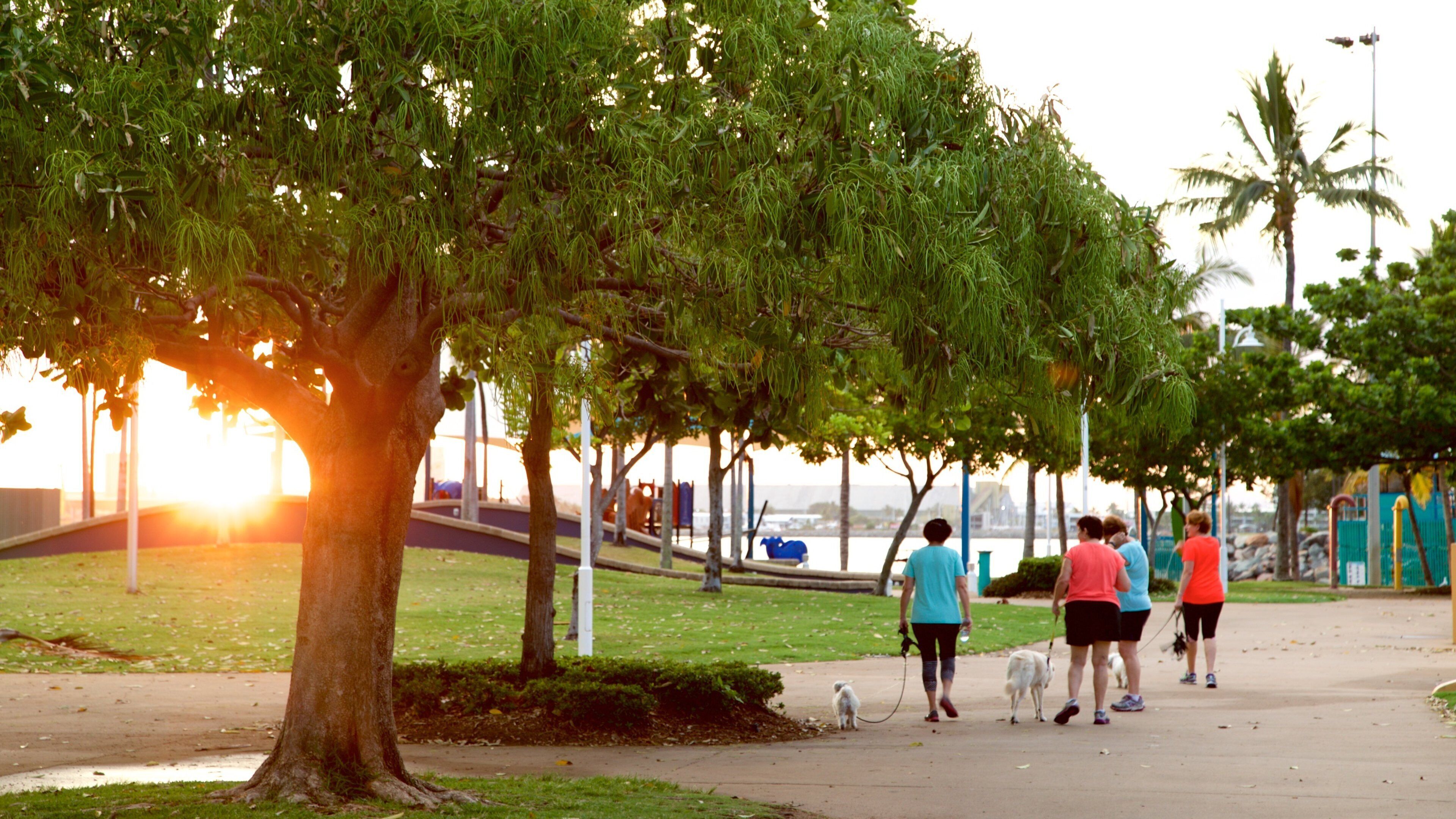 The Strand mostrando senderismo o caminatas, un atardecer y un parque