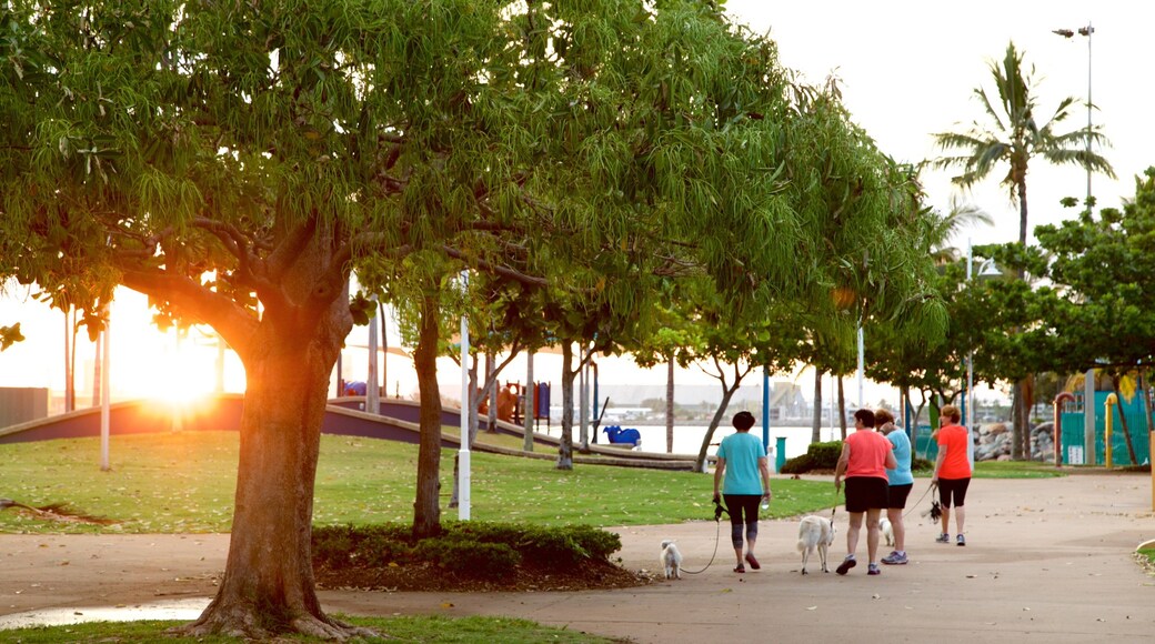 The Strand mostrando senderismo o caminatas, un atardecer y un parque