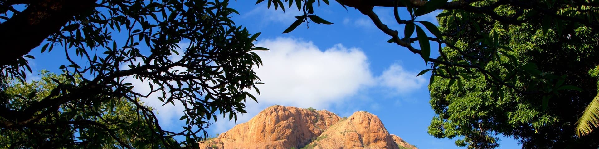 Townsville mit einem Garten und Berge