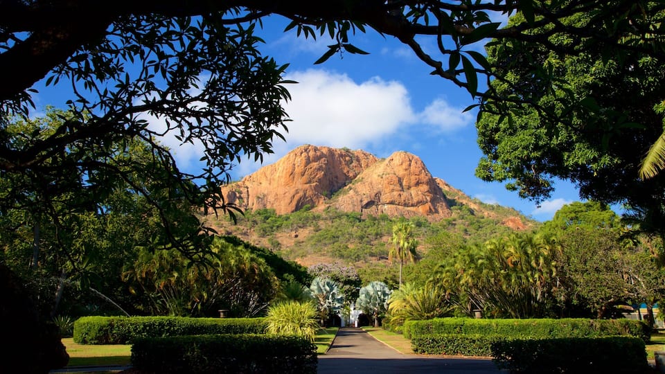 Townsville featuring a garden and mountains