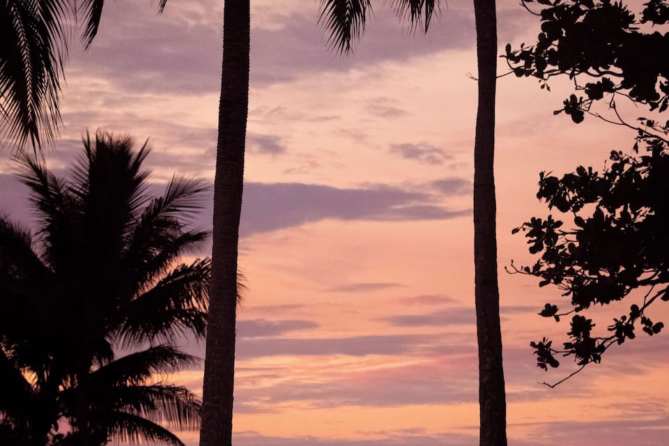 A sunset over a beach with palm trees and a calm sea.