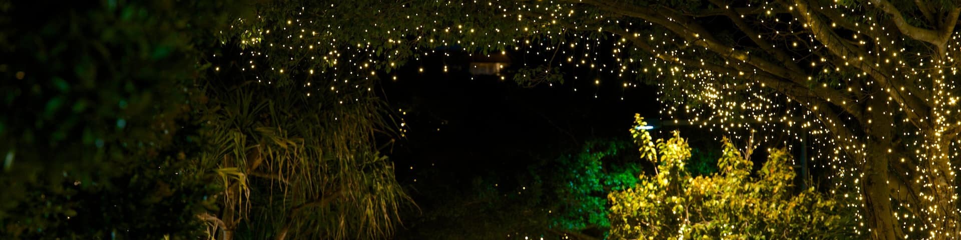 Hastings Street featuring night scenes and street scenes