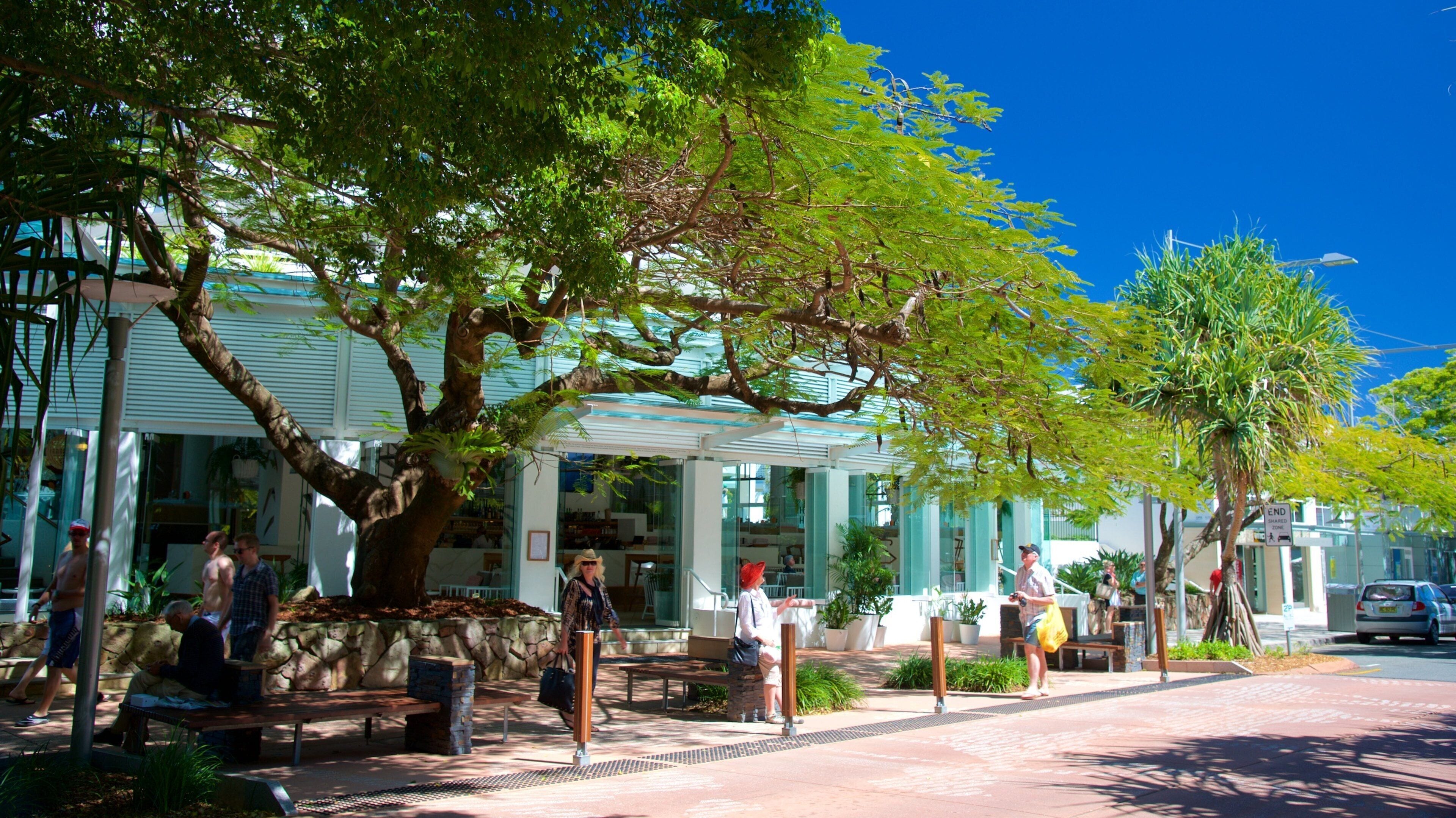 Hastings Street showing central business district and a city