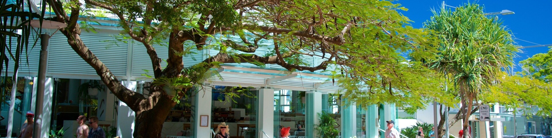 Hastings Street showing central business district and a city