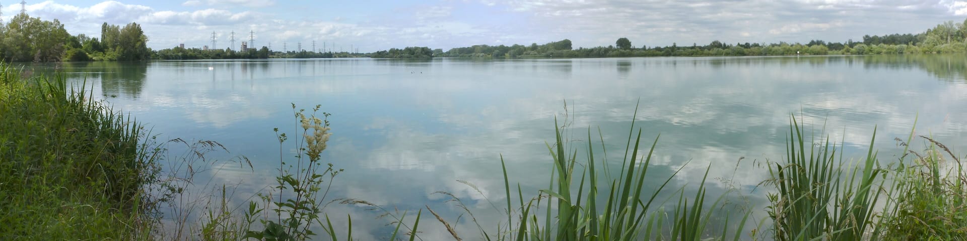 Panorama du Rhin vers le nord-est depuis l'île du Rohrschollen