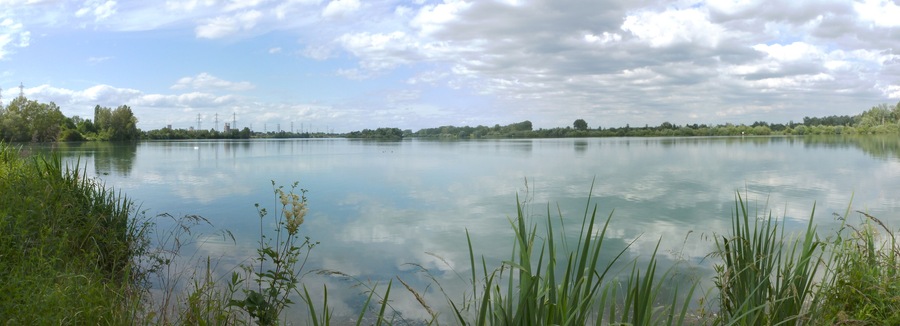 Panorama du Rhin vers le nord-est depuis l'île du Rohrschollen