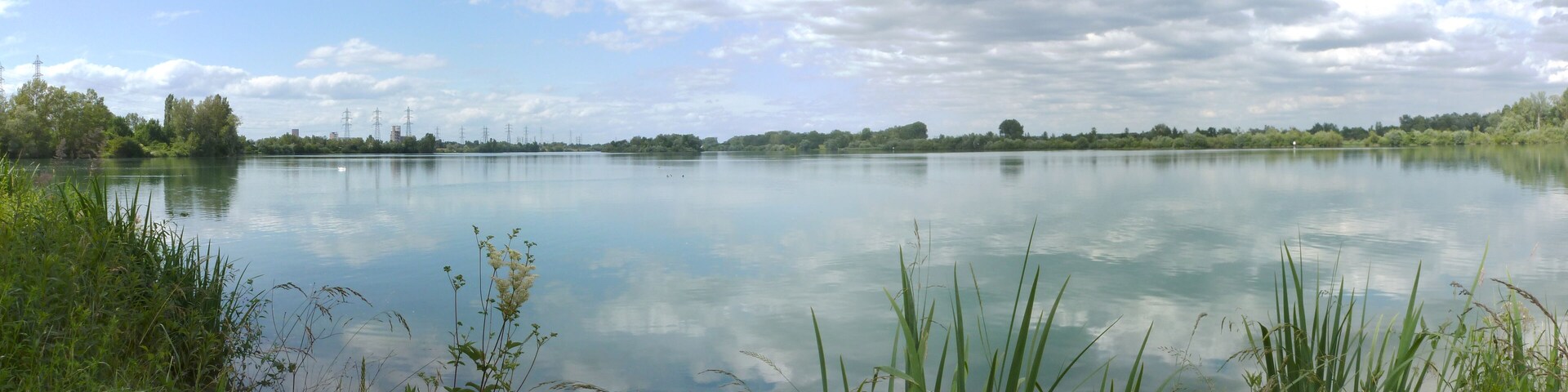 Panorama du Rhin vers le nord-est depuis l'île du Rohrschollen