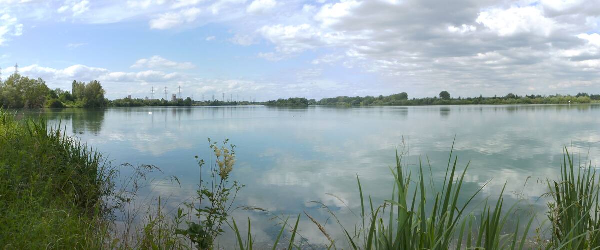 A calm lake with grassy banks and a cloudy sky.