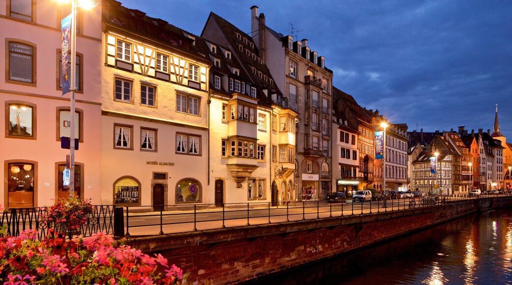 Strasbourg showing night scenes, a city and flowers