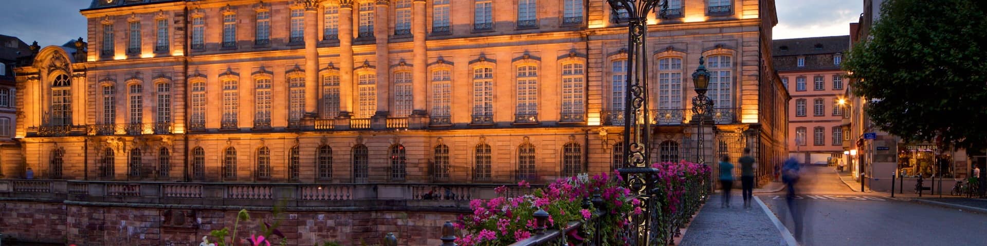 Strasbourg featuring flowers, a bridge and night scenes