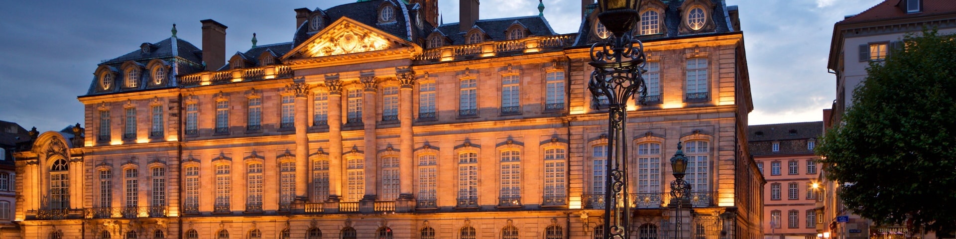 Strasbourg featuring flowers, a bridge and night scenes