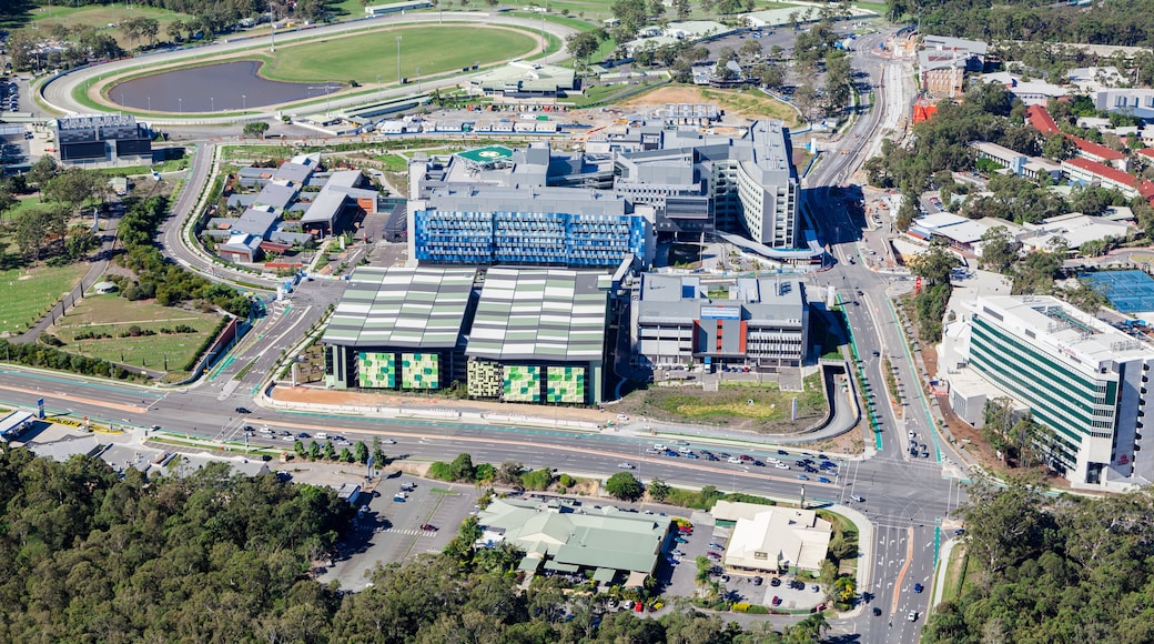 Gold Coast universitetssykehus