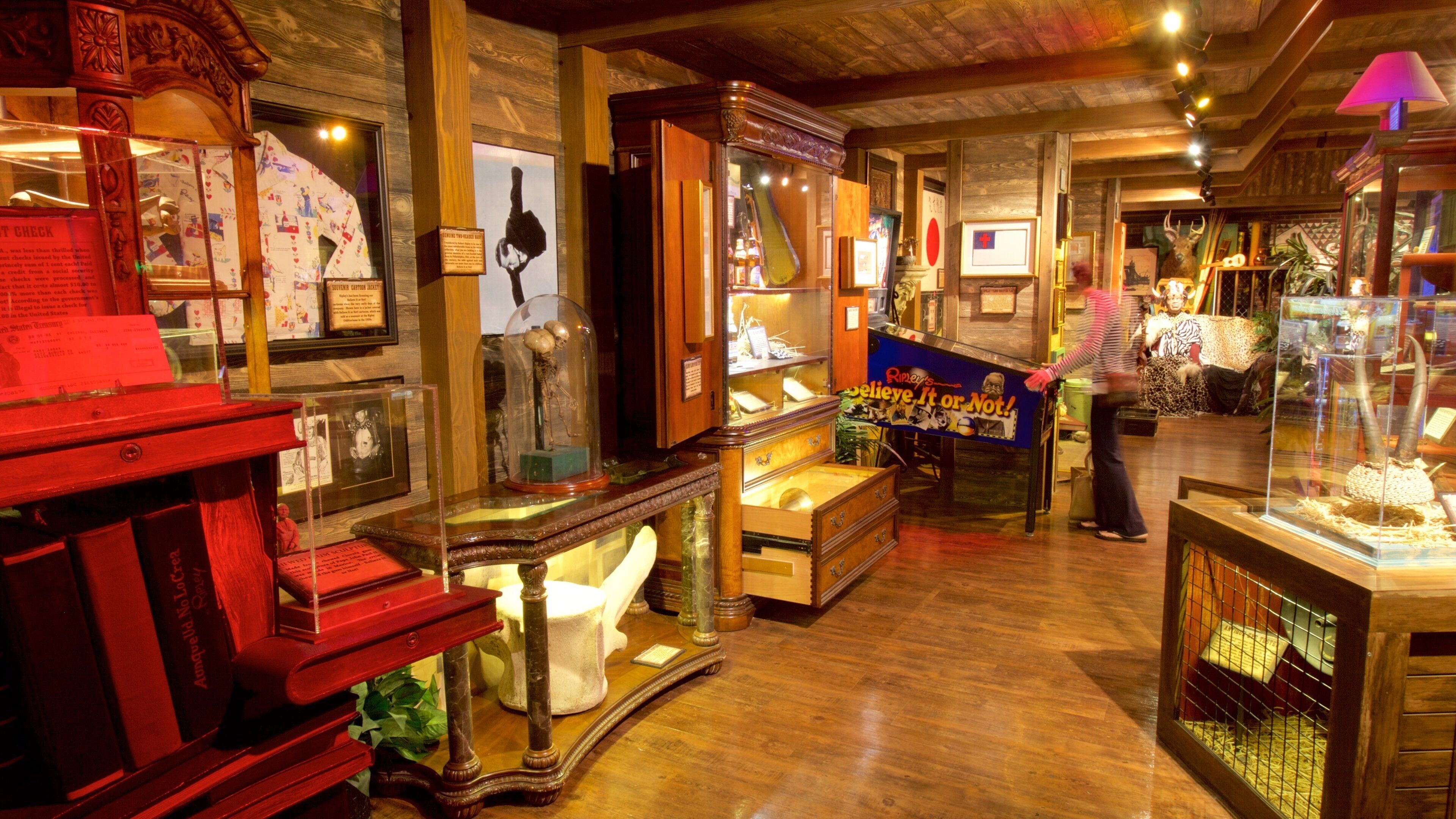 Ripley\'s Believe It or Not which includes interior views