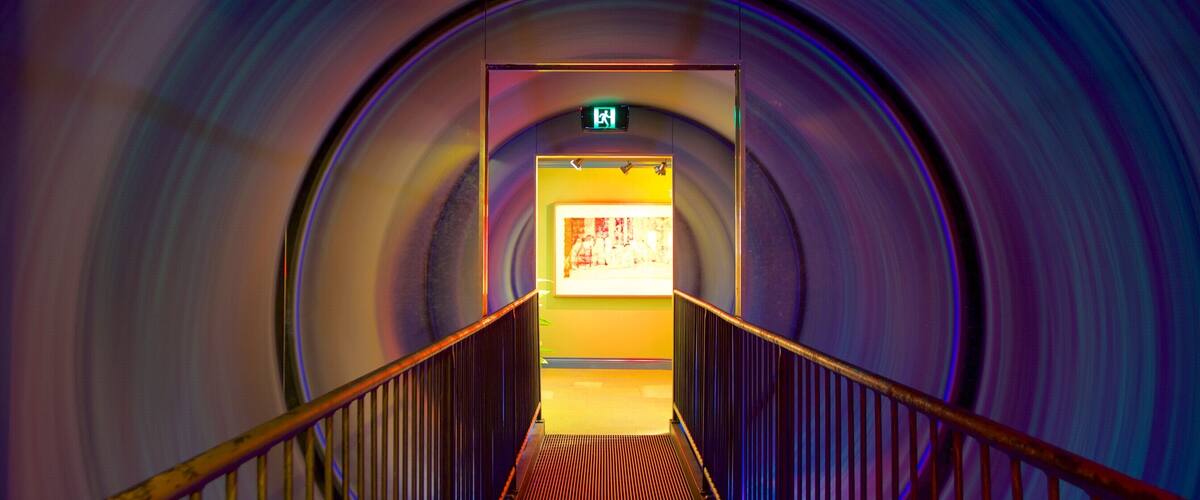 Ripley\'s Believe It or Not ofreciendo vista interna