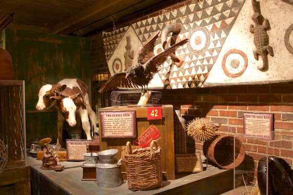 Ripley\'s Believe It or Not ofreciendo vistas interiores