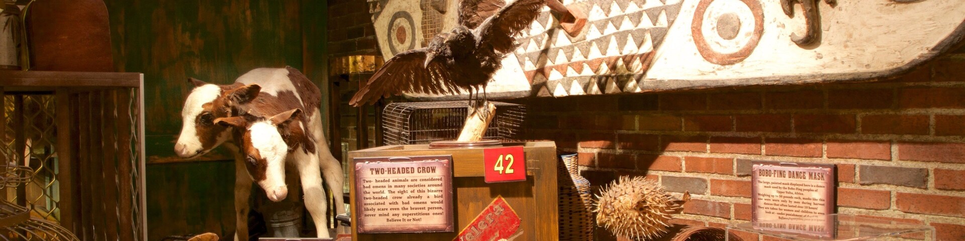 Ripley\'s Believe It or Not which includes interior views