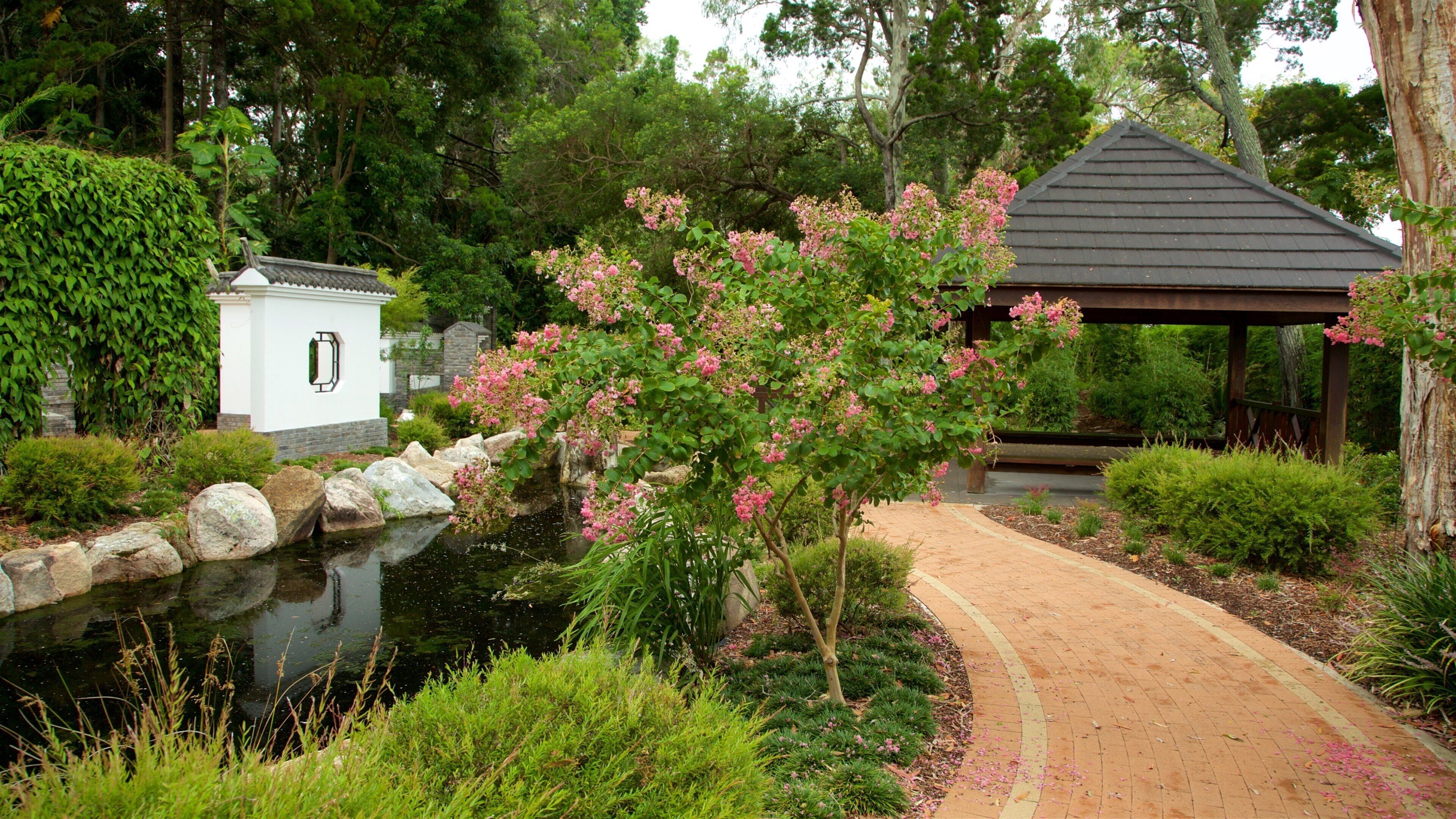 Hervey Bay Botanic Garden