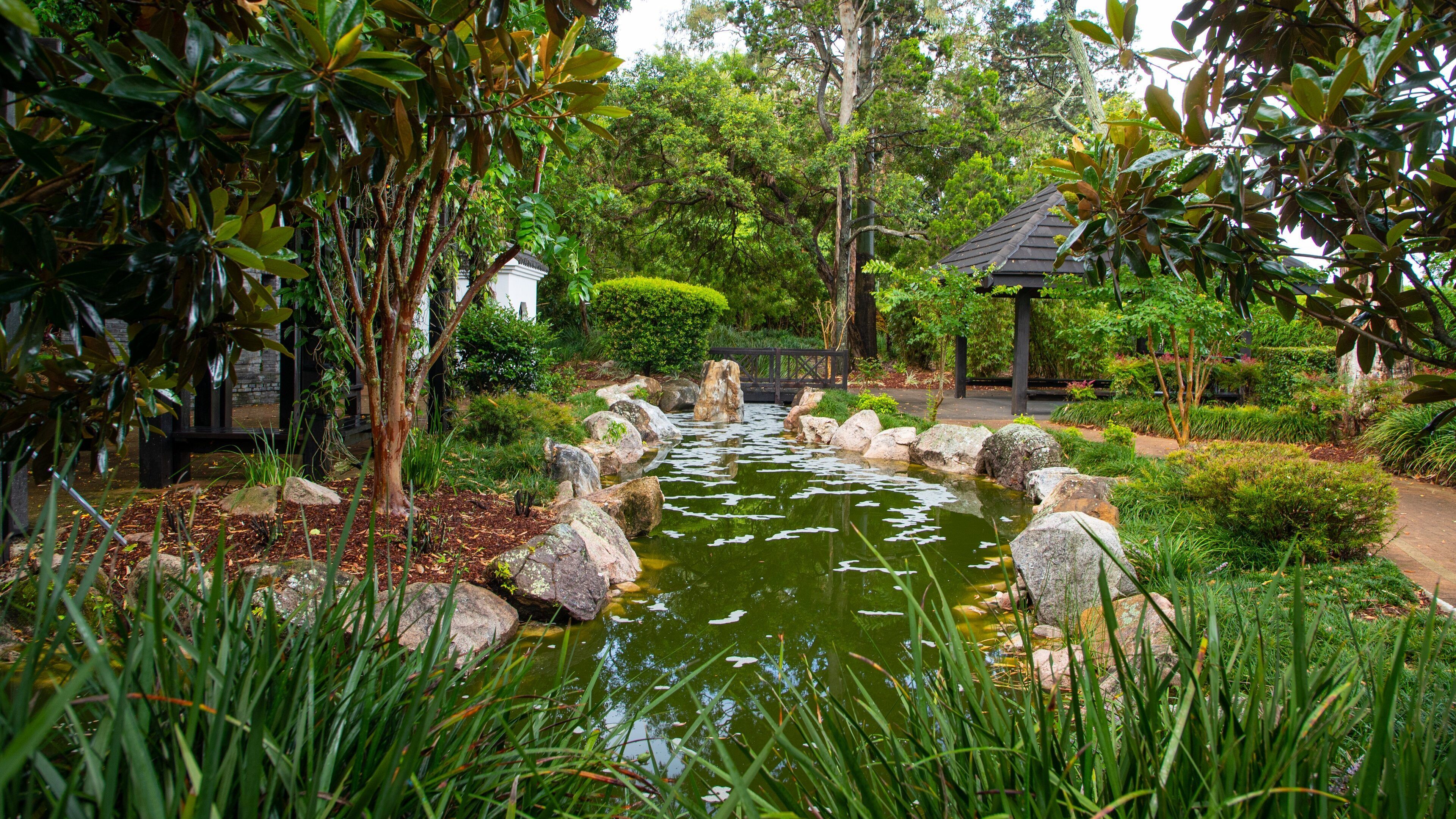 Hervey Bay Botanic Garden which includes a pond and a park
