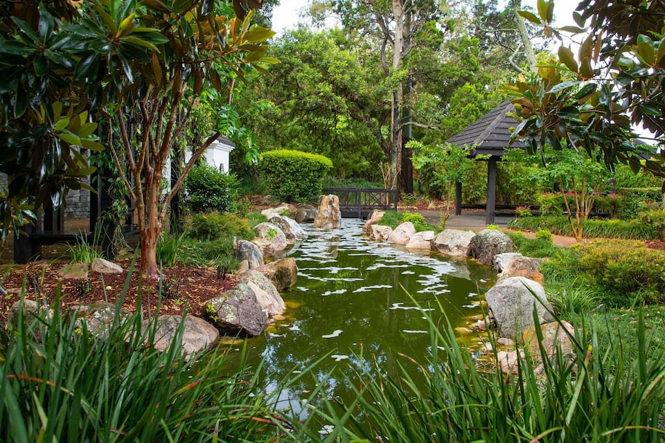 A serene garden with a pond, rocks, and lush greenery.