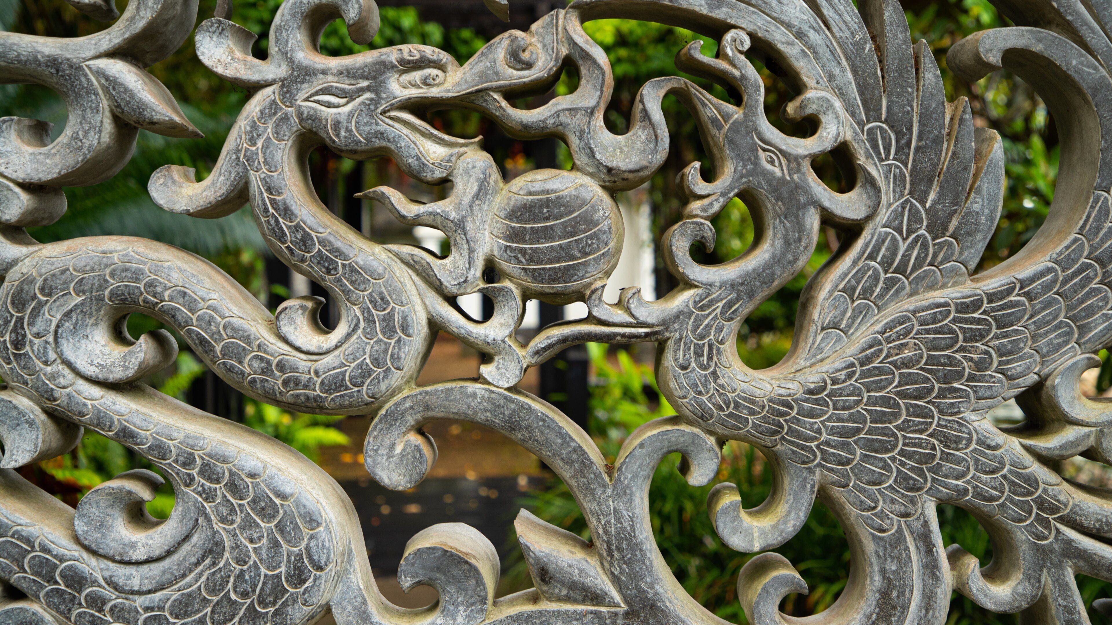 Hervey Bay Botanic Garden