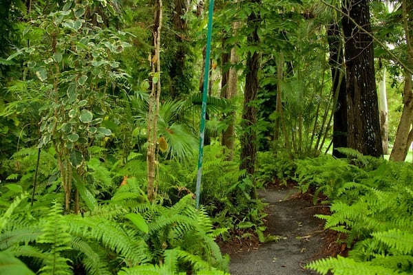 Hervey Bay Botanic Garden