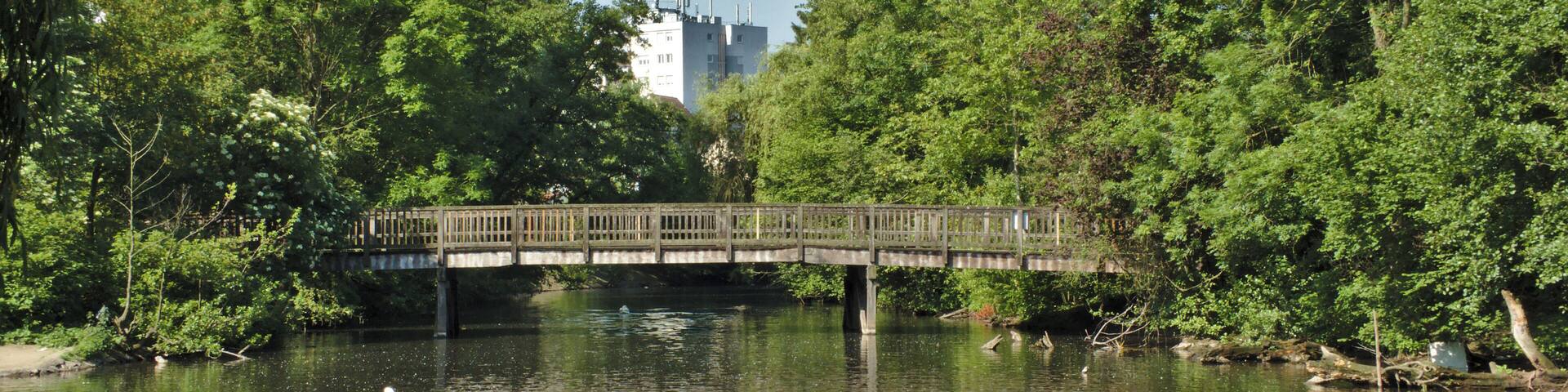 A wooden bridge over a calm river, surrounded by lush green trees.