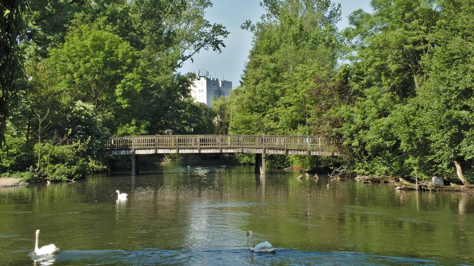 A wooden bridge over a calm river, surrounded by lush green trees.