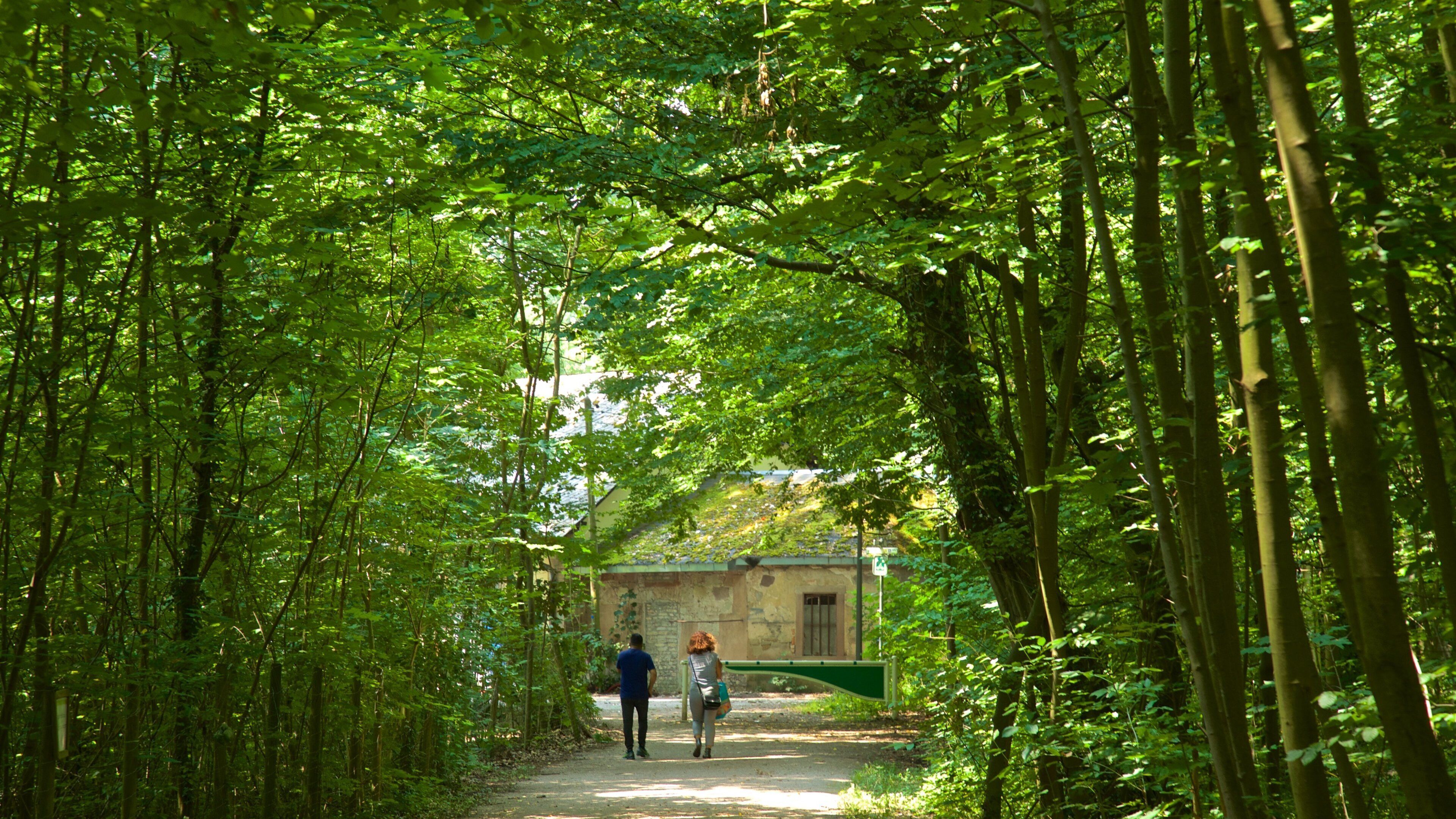 Montagne Verte which includes a park as well as a couple