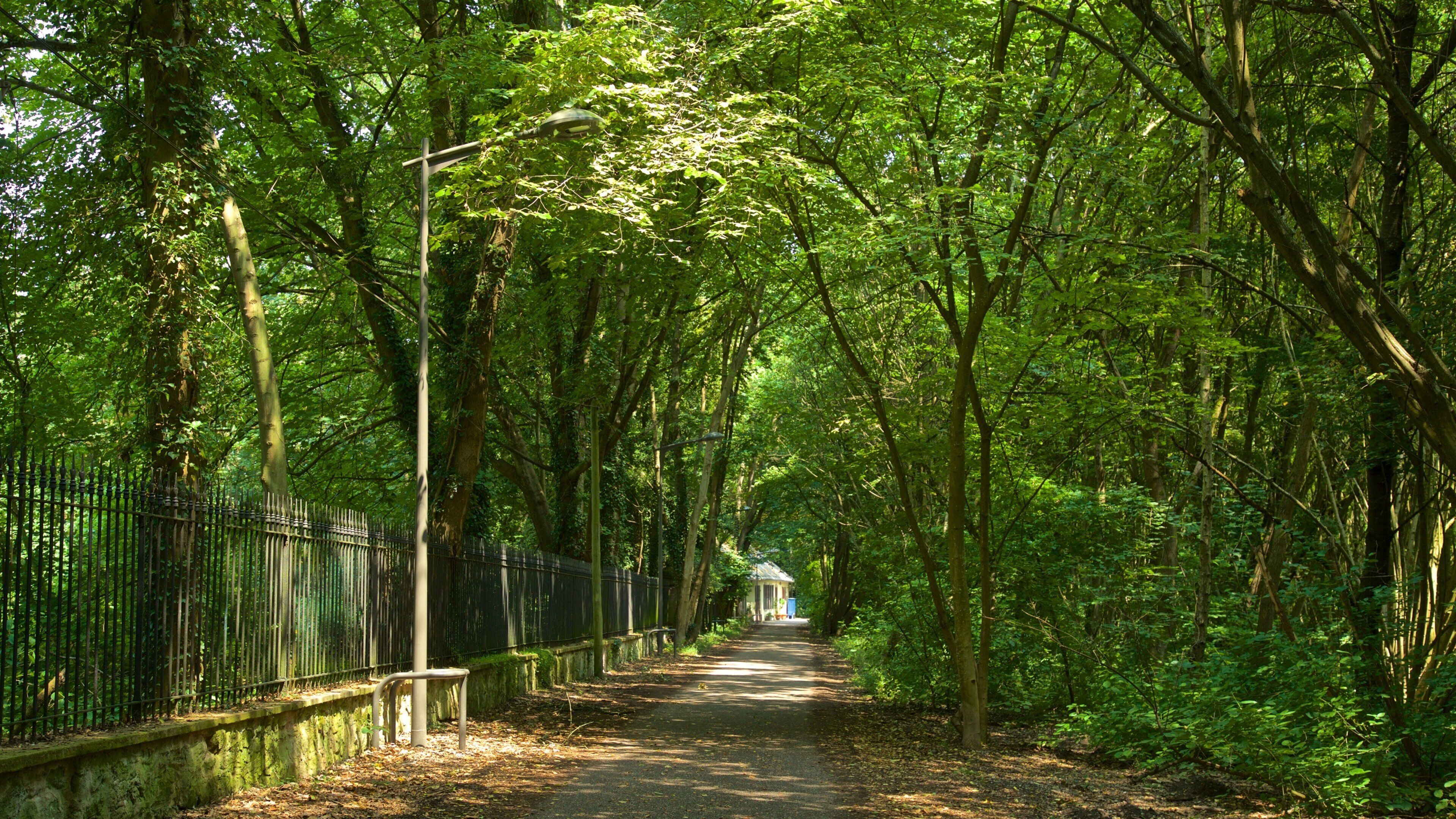 Montagne Verte featuring a garden