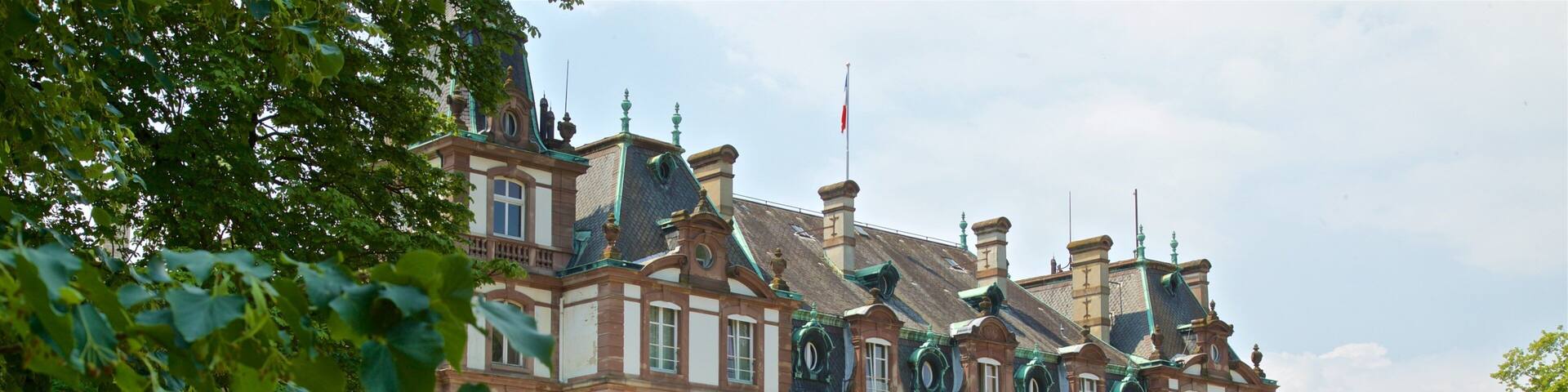 A large, historic building with a green roof and a flag.