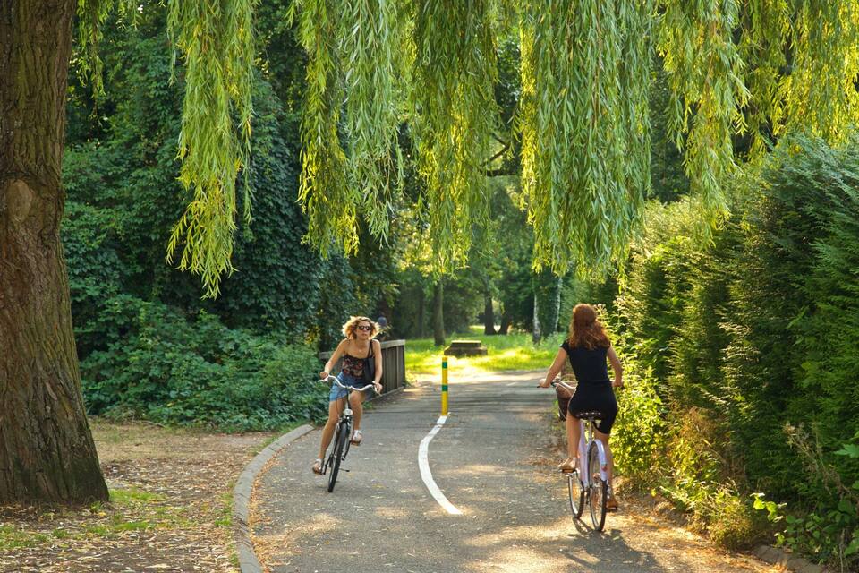 Deux cyclistes sur une piste asphaltée, entourés d’une végétation luxuriante et d’arbres.