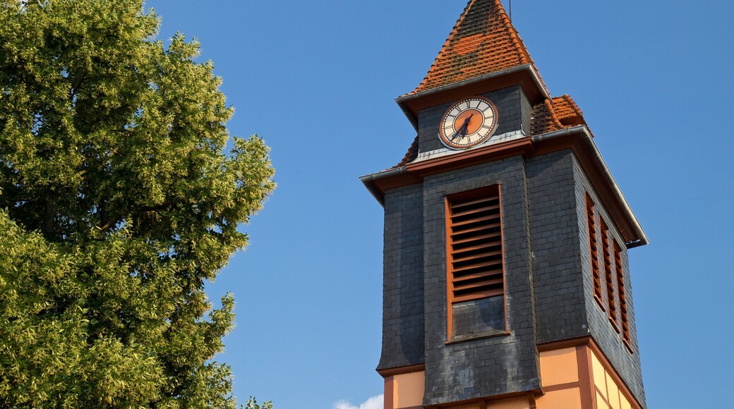 Robertsau which includes heritage elements