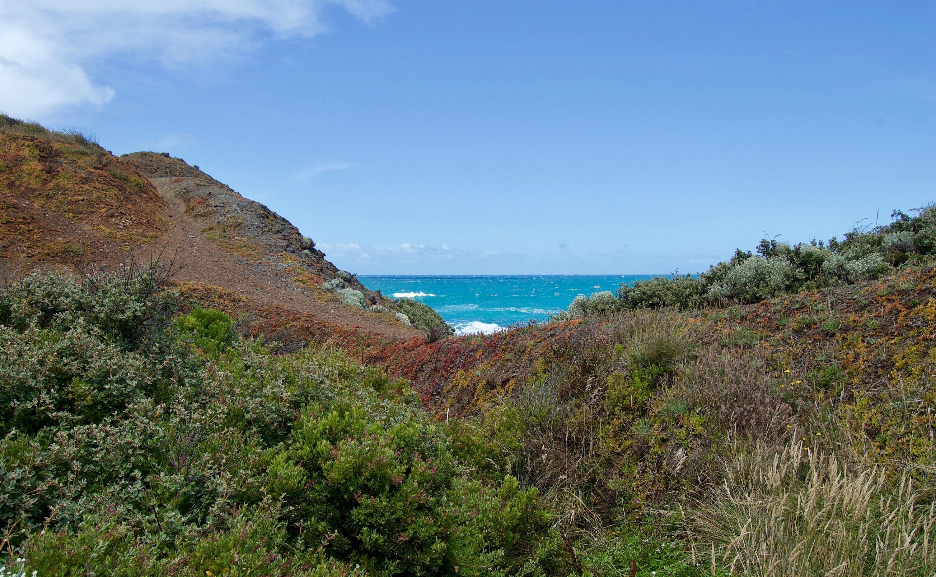 Shoreham Beach - Victoria, Australia